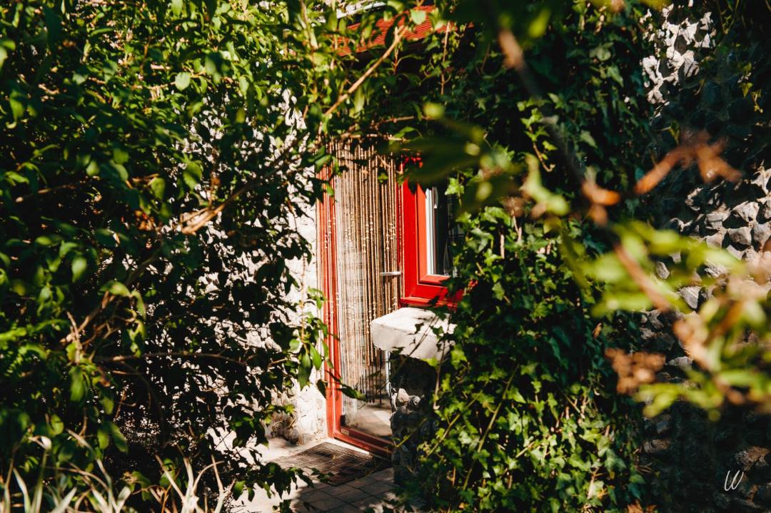 Photo of Others in Willies