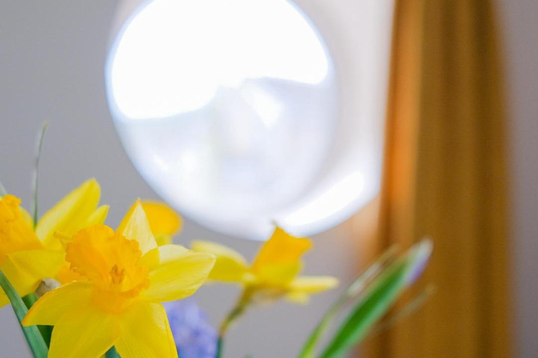 Photo of Others in Aislaby