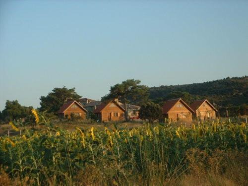 Photo of Others in Canada del Hoyo