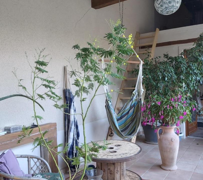 Photo of Others in Boiscommun