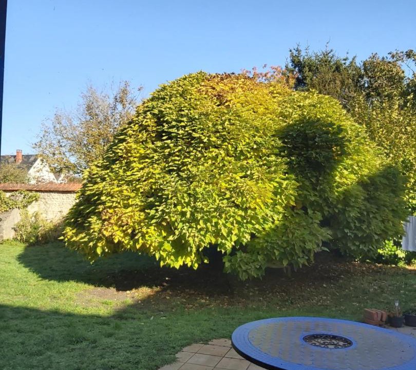 Photo of Others in Boiscommun