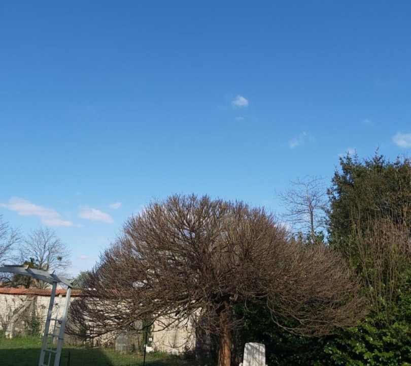 Photo of Others in Boiscommun