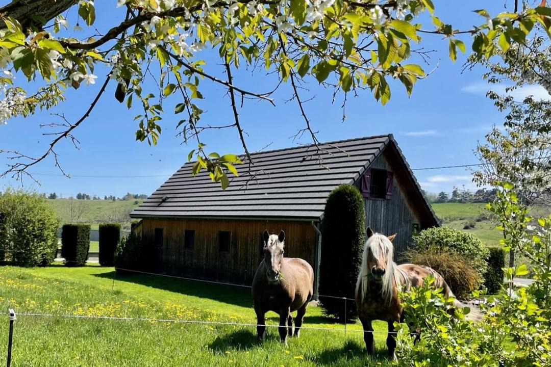 Photo of Buildings in Saint-Nectaire