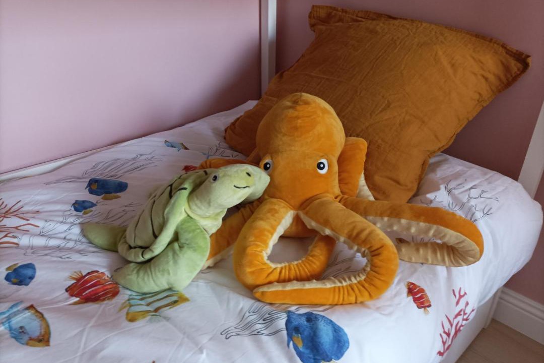 Photo of Others in Equihen-Plage