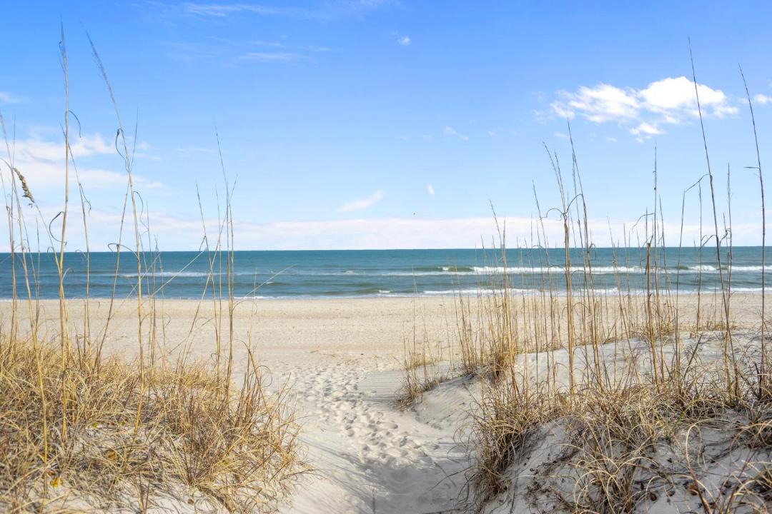 Photo of Outdoor in North Carolina Coast
