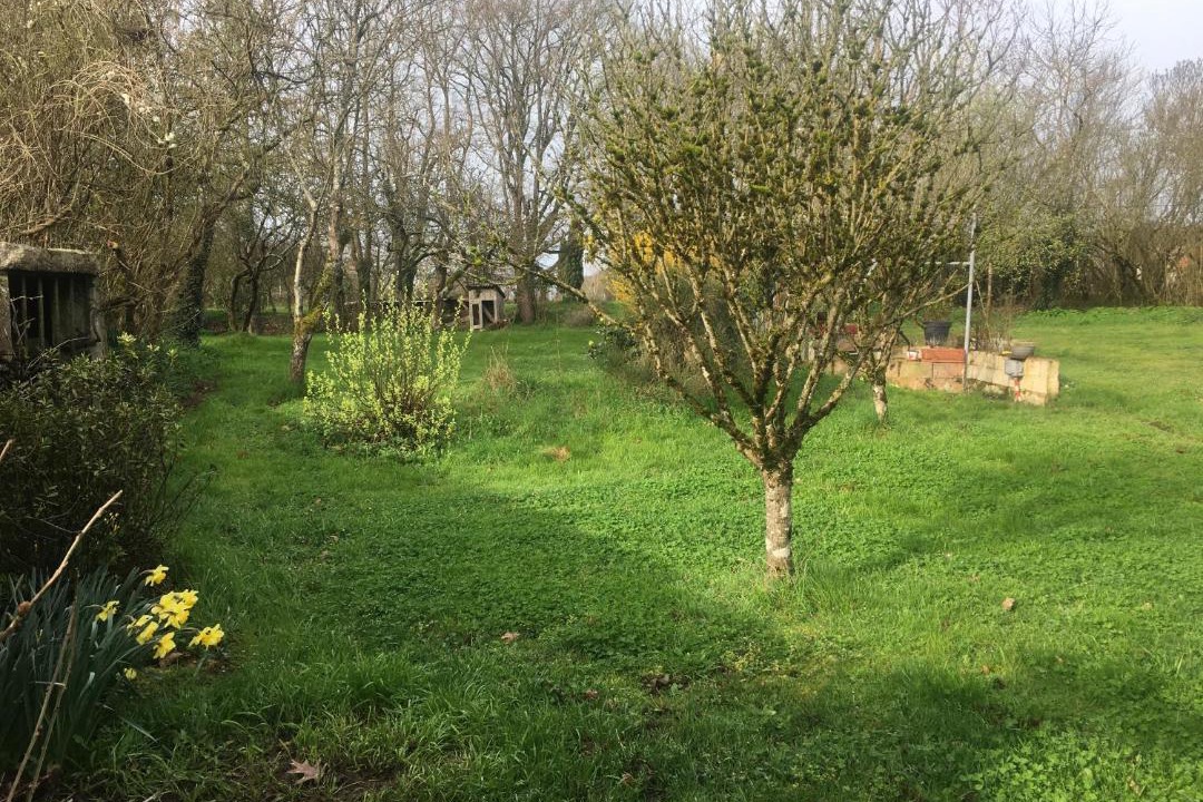 Photo of Others in Roeze-sur-Sarthe