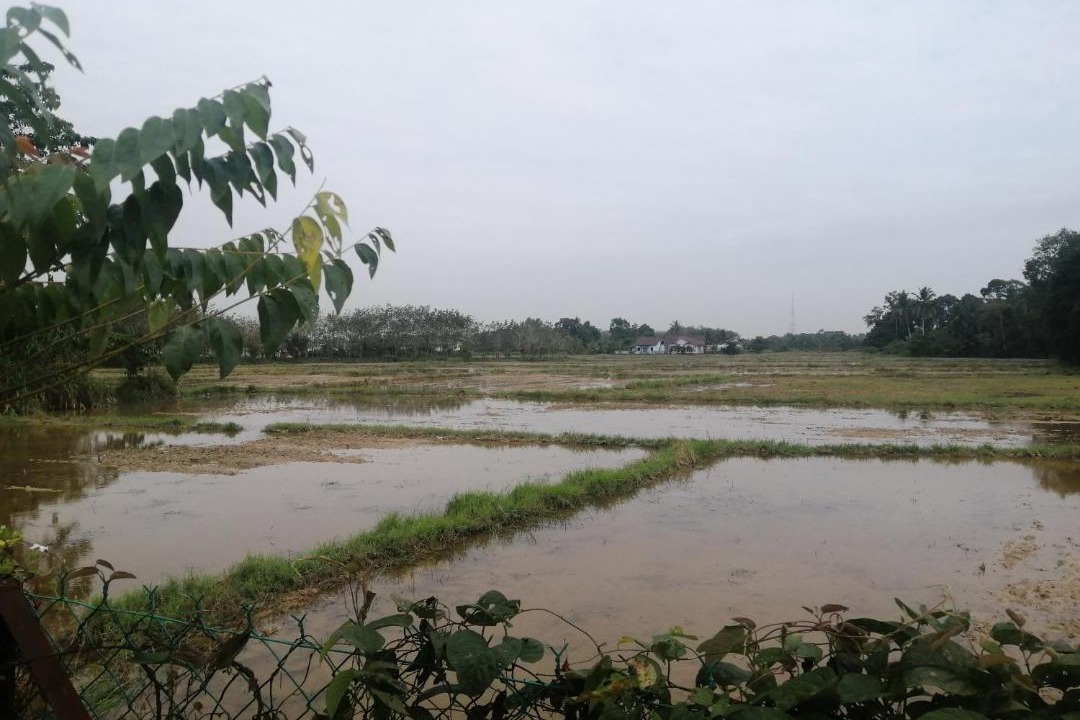 Photo of Others in Peringat