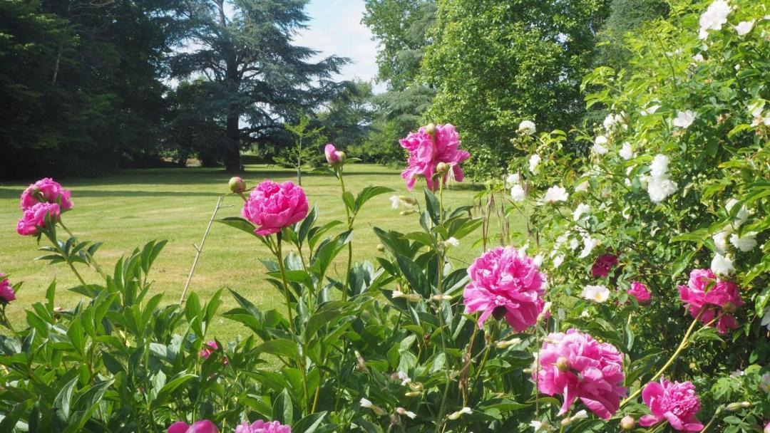 Photo of Others in Le Mesnil-Saint-Denis