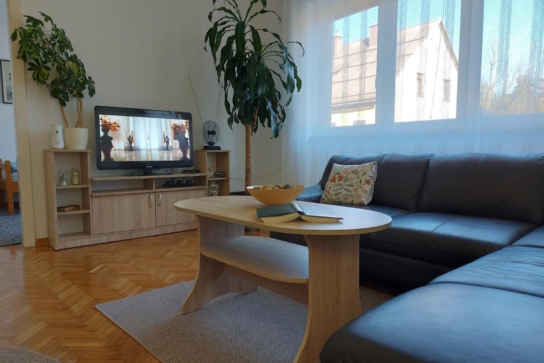 Photo of Livingroom in Delnice
