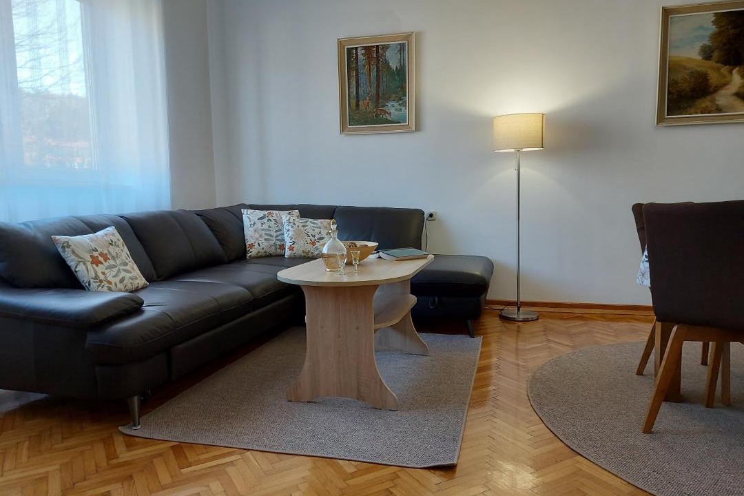 Photo of Livingroom in Delnice