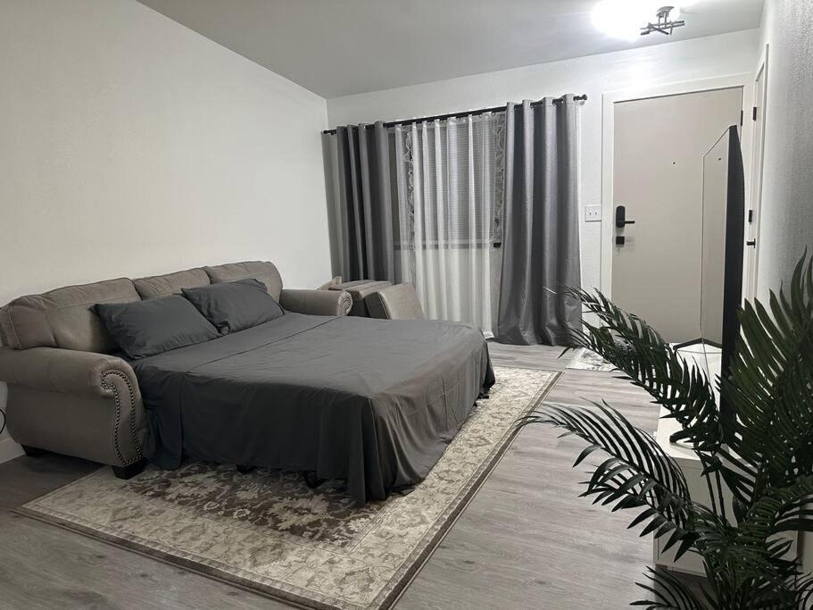 Photo of Others in Carmichael