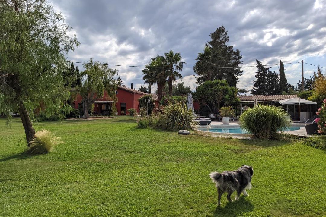 Photo of Others in Baho