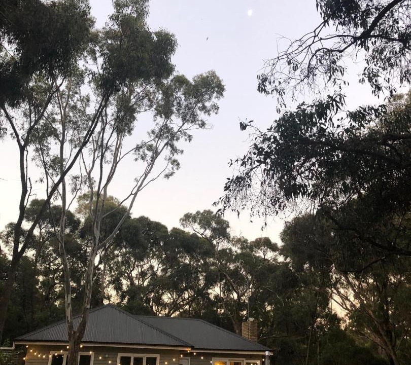 Photo of Others in Metcalfe East