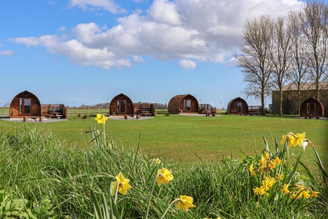 Photo of Others in Driffield