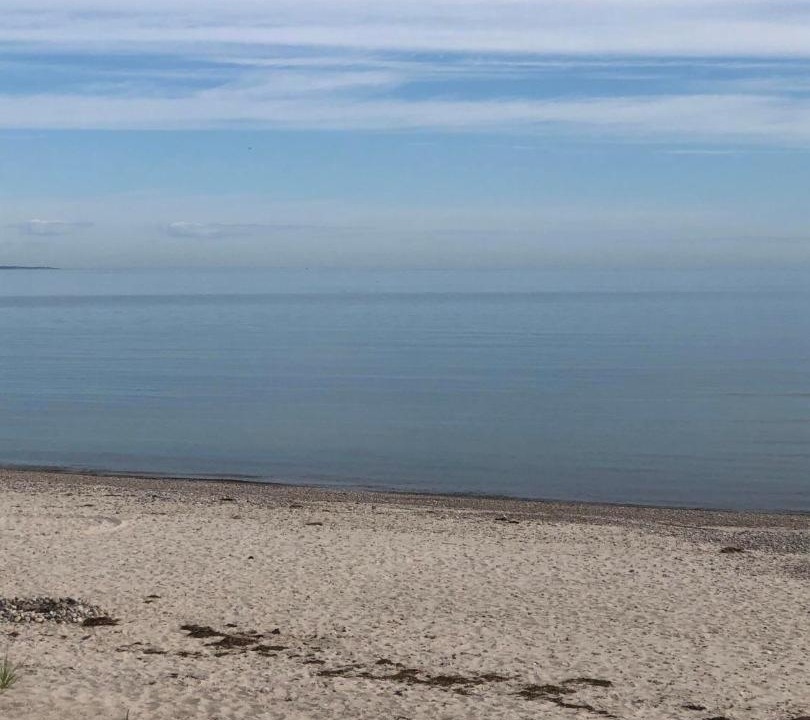 Photo of Others in East Sandwich