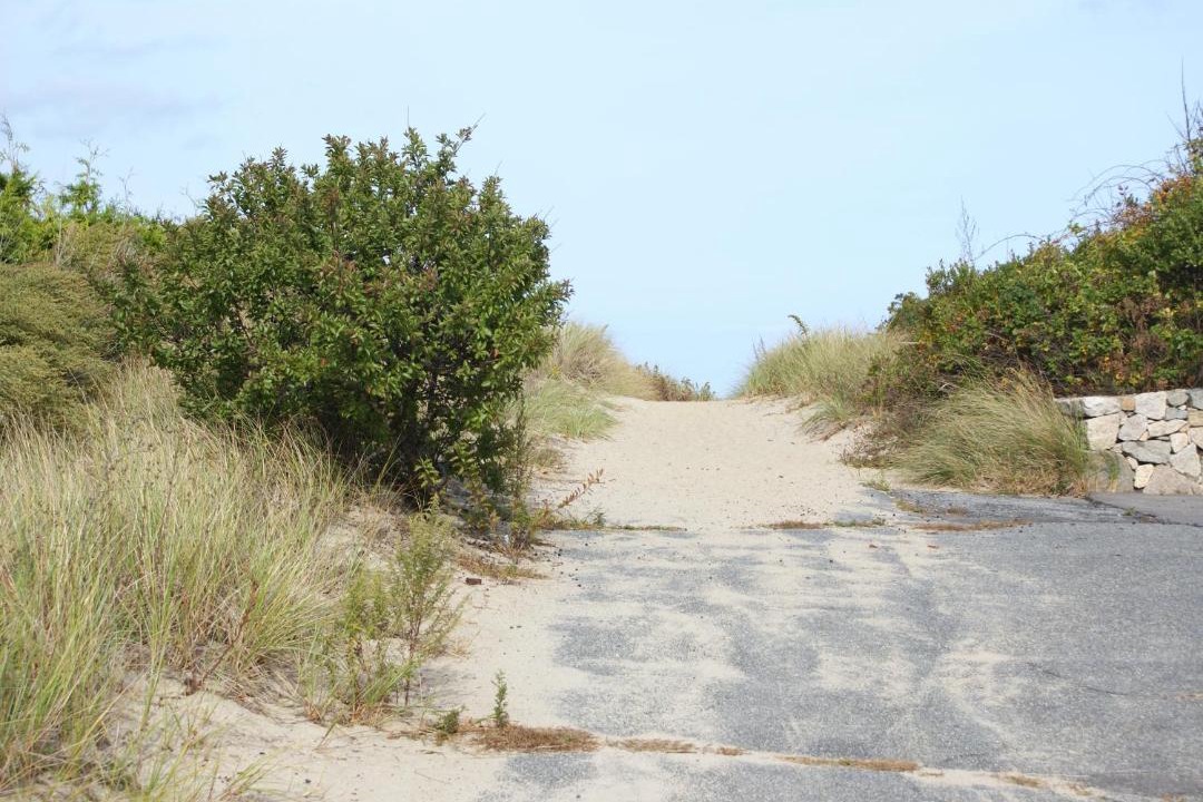 Photo of Others in Sagamore Beach