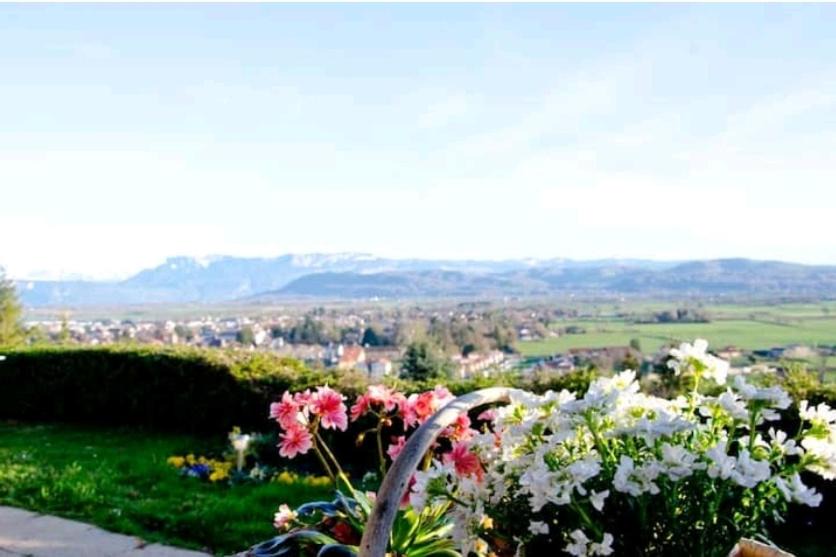 Photo of Outdoor in Le Grand-Lemps