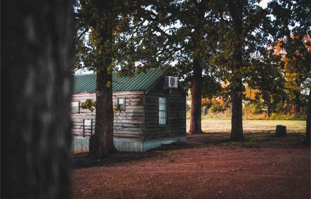 Photo of Others in Mead