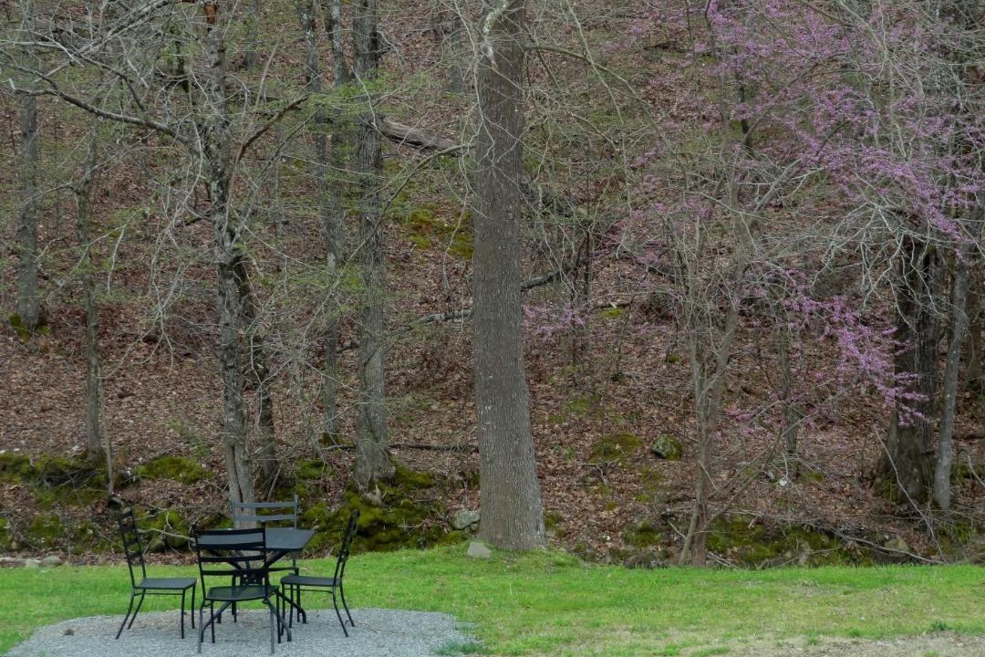 Photo of Outdoor in Mount Ida