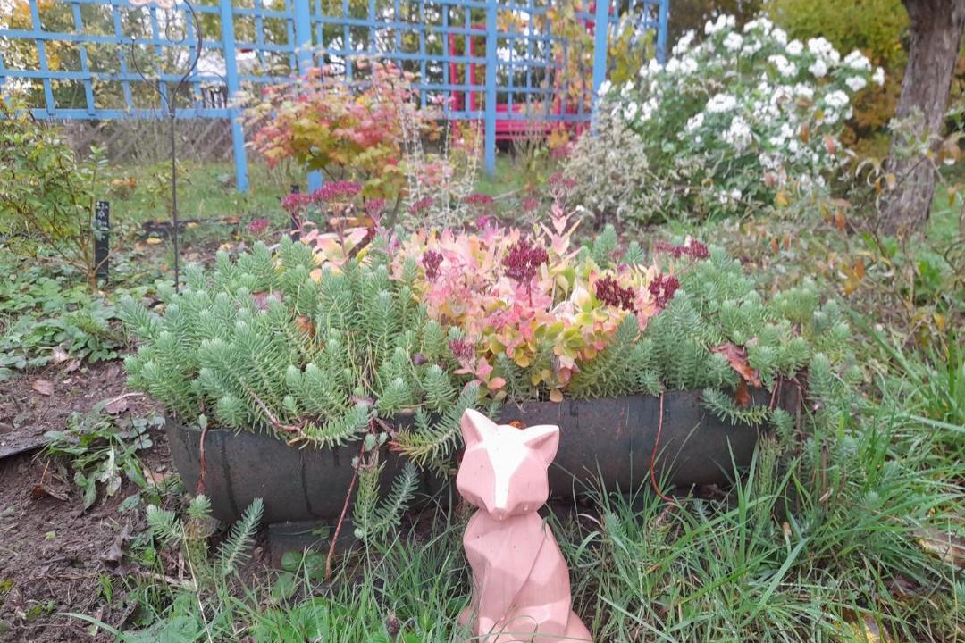 Photo of Others in La Malmaison