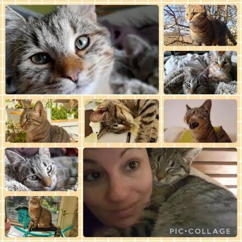 Photo of Others in La Malmaison