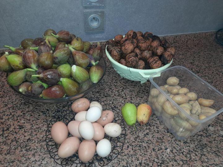 Photo of Others in La Malmaison