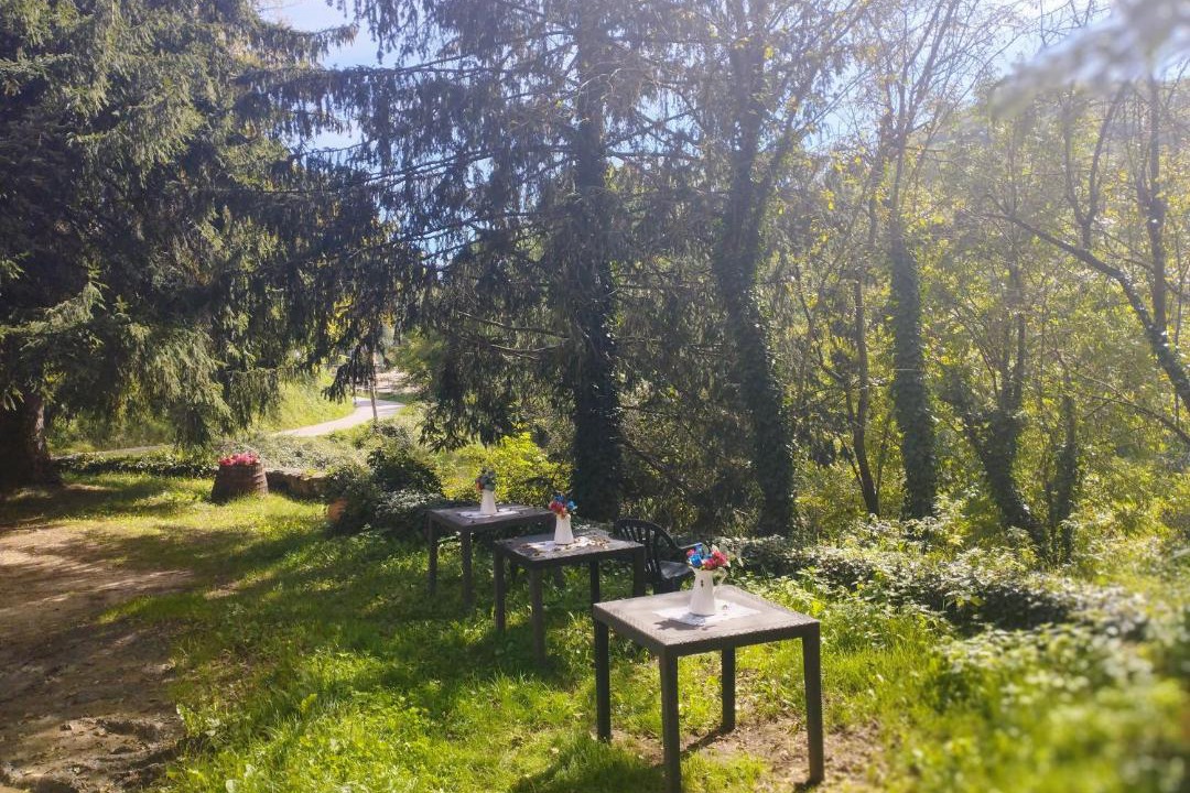 Photo of Outdoor in Sant Pau de Seguries