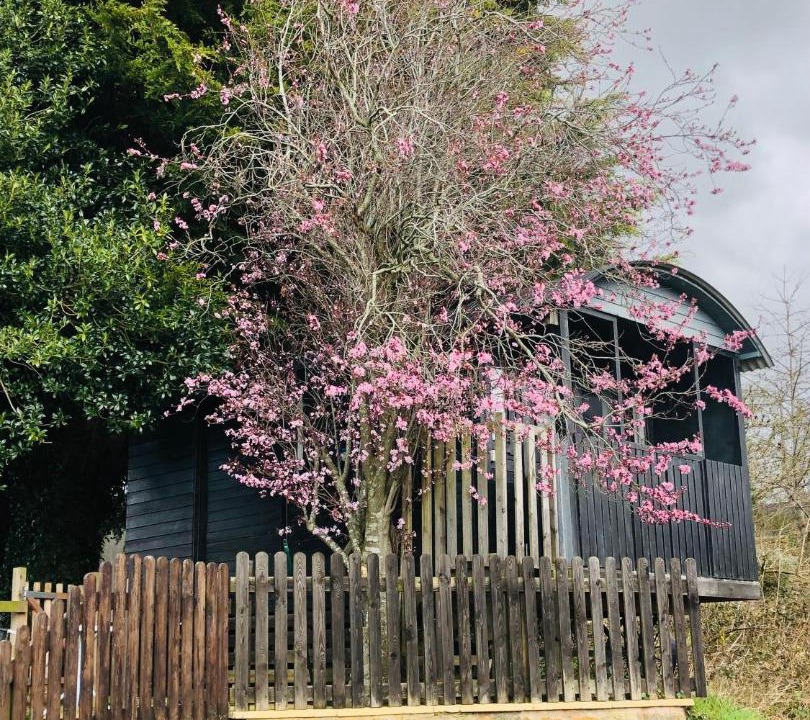 Photo of Others in Sibford Gower