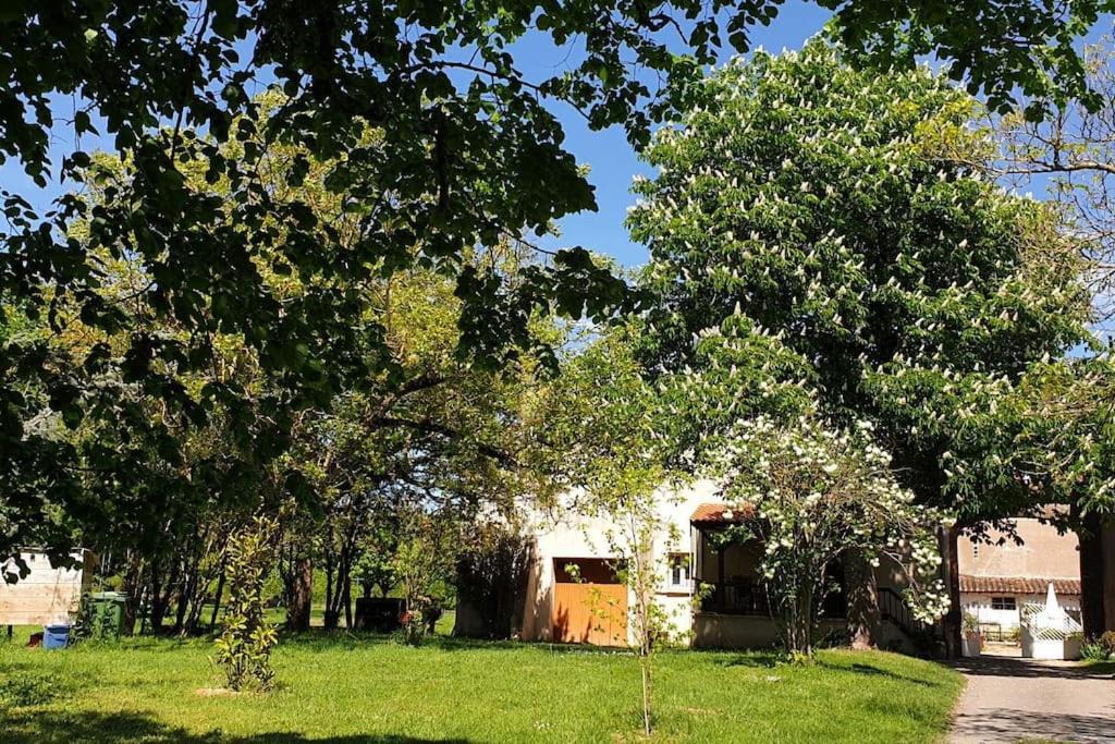 Photo of Others in Frejairolles