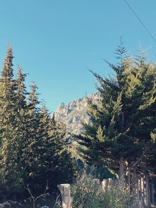 Photo of Outdoor in Tautavel