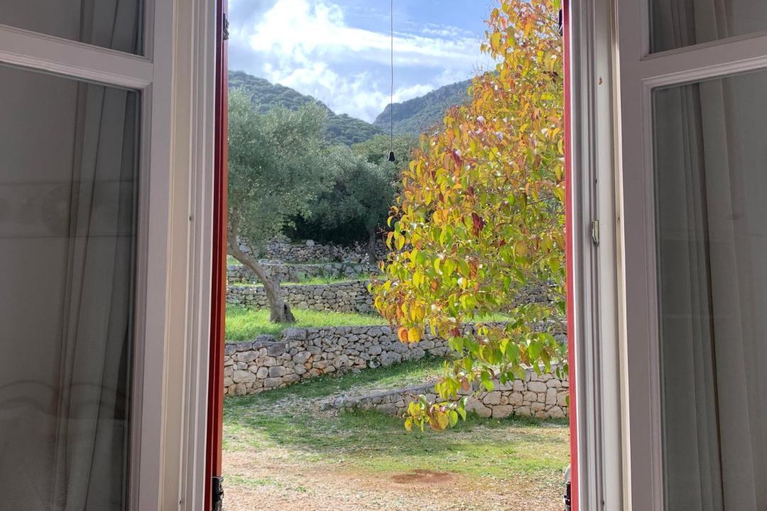 Photo of Others in Aetos