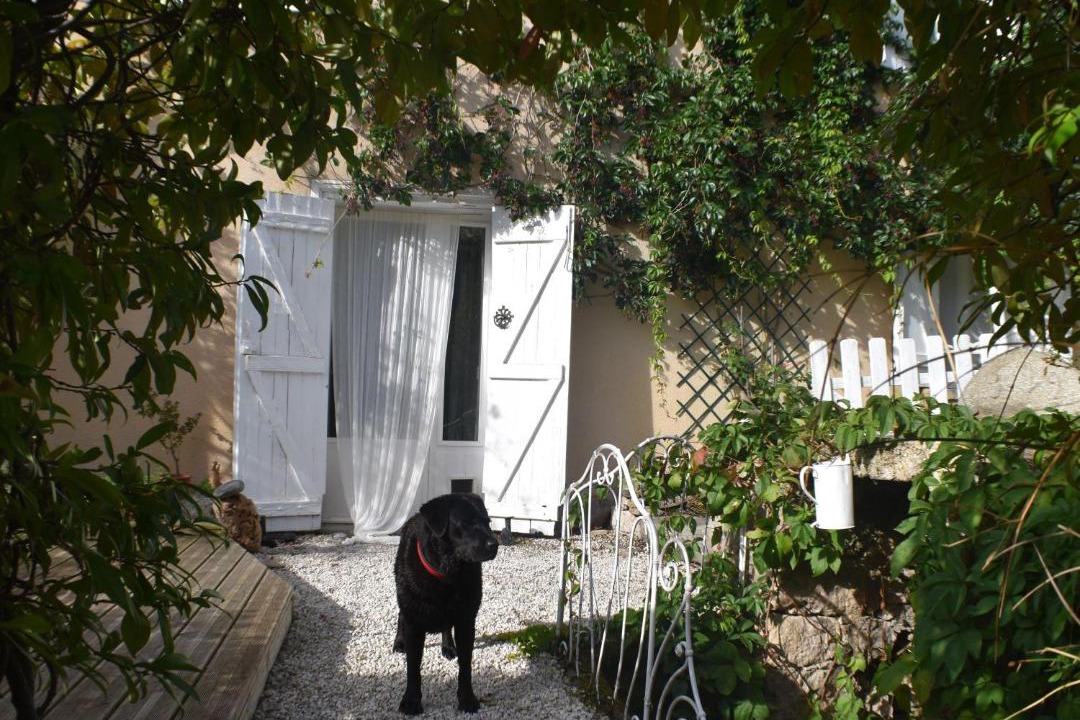 Photo of Others in Puivert