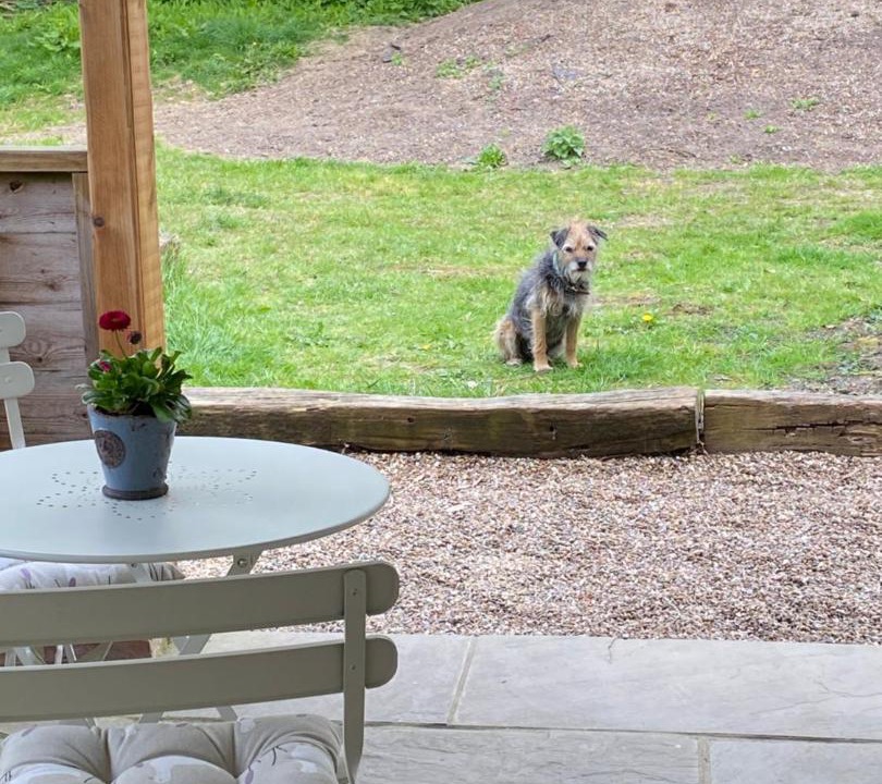 Photo of Others in Ashford