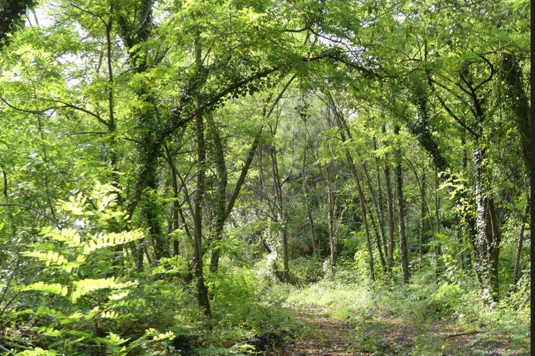 Photo of Others in Le Martinet