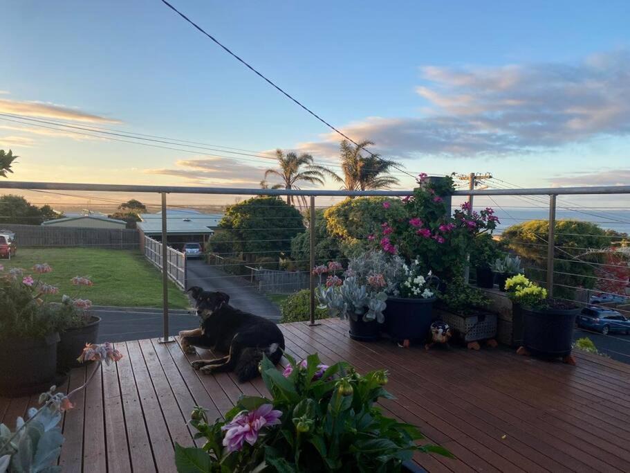 Photo of Others in San Remo