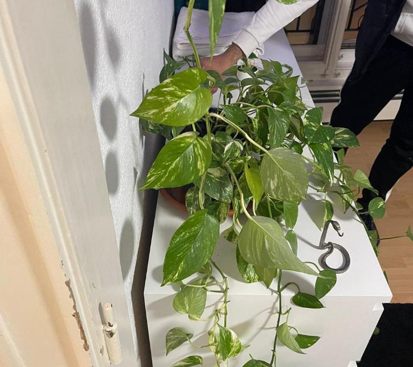 Photo of Others in Neuchatel