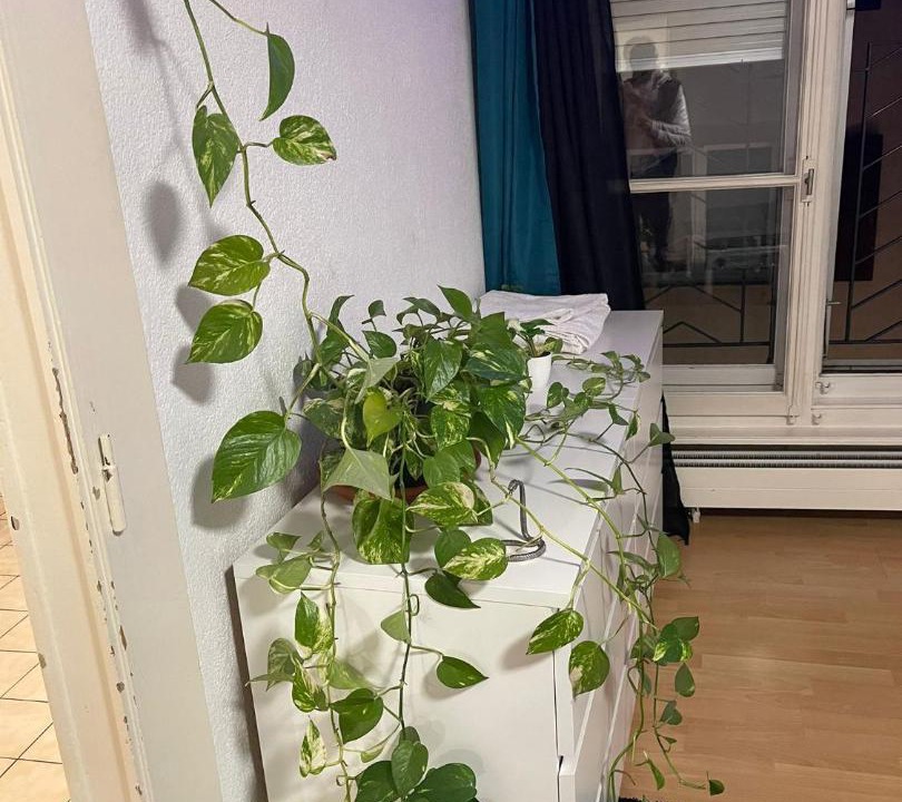 Photo of Others in Neuchatel