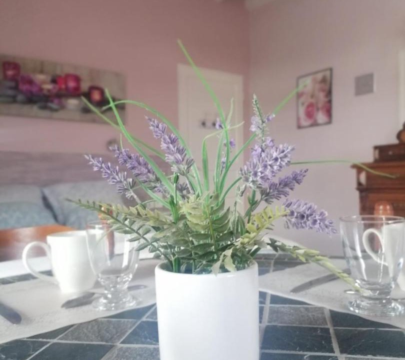 Photo of Others in Montain