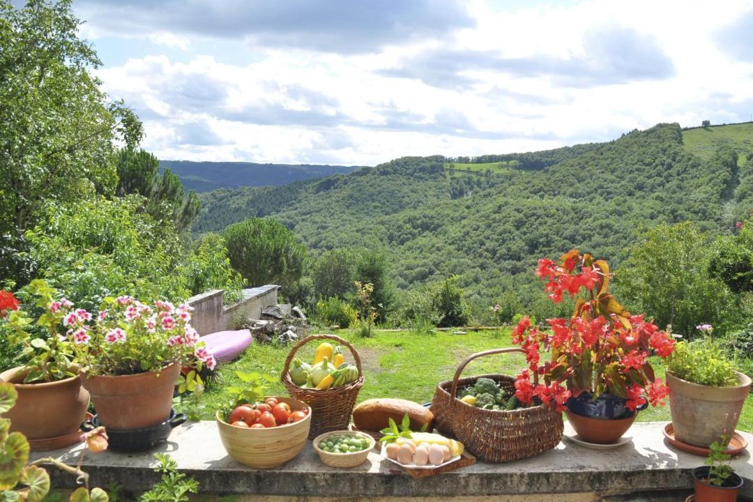 Photo of Others in Trebas