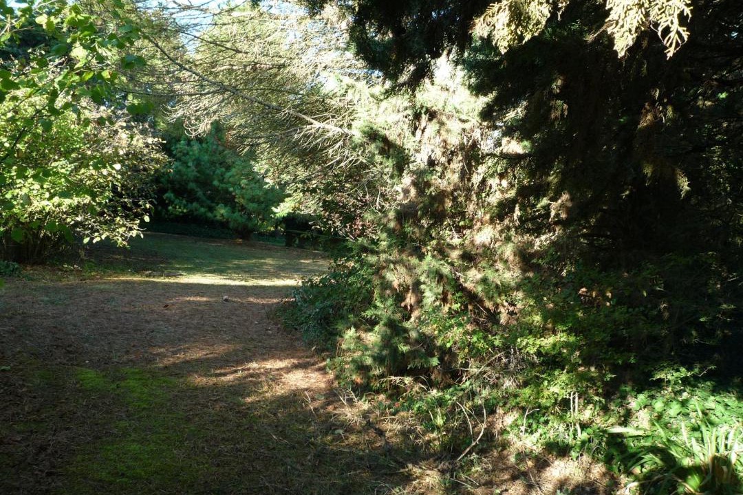 Photo of Others in La Roche-Clermault