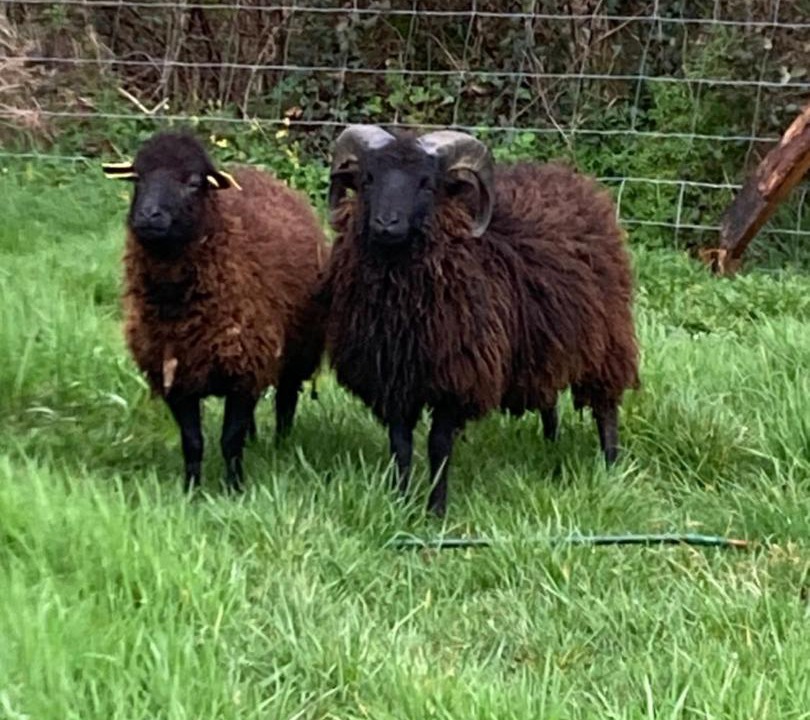 Photo of Others in Hambye