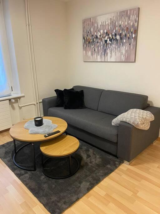Photo of Livingroom in Langstrasse