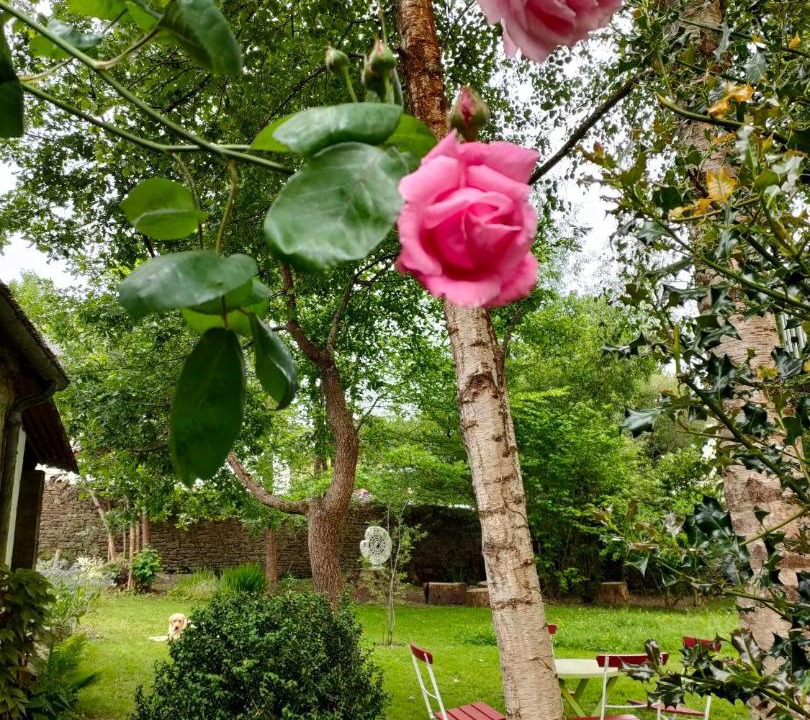 Photo of Others in Huelgoat