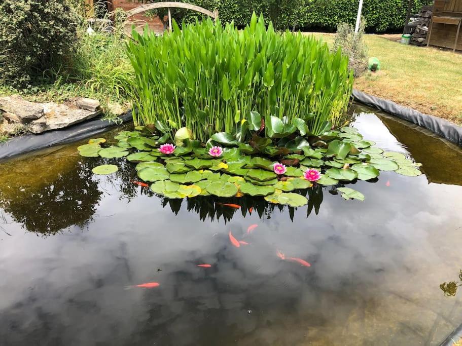 Photo of Others in Saint-Florent