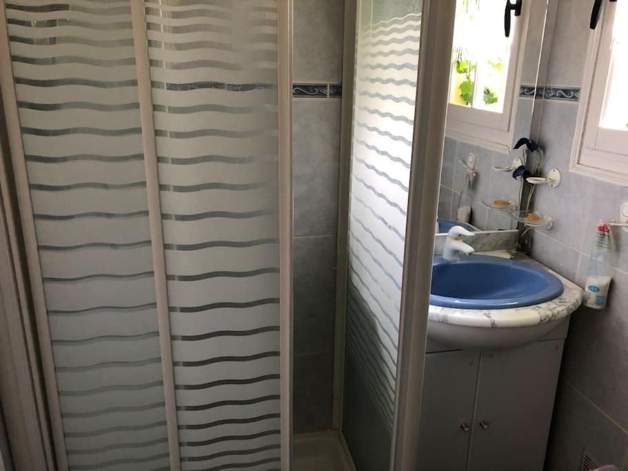 Photo of Others in Saint-Florent