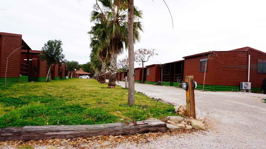 Photo of Buildings in El Saler