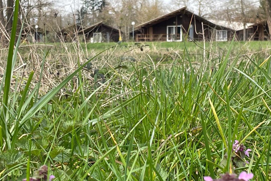 Photo of Buildings in Saint-Didier-sur-Chalaronne