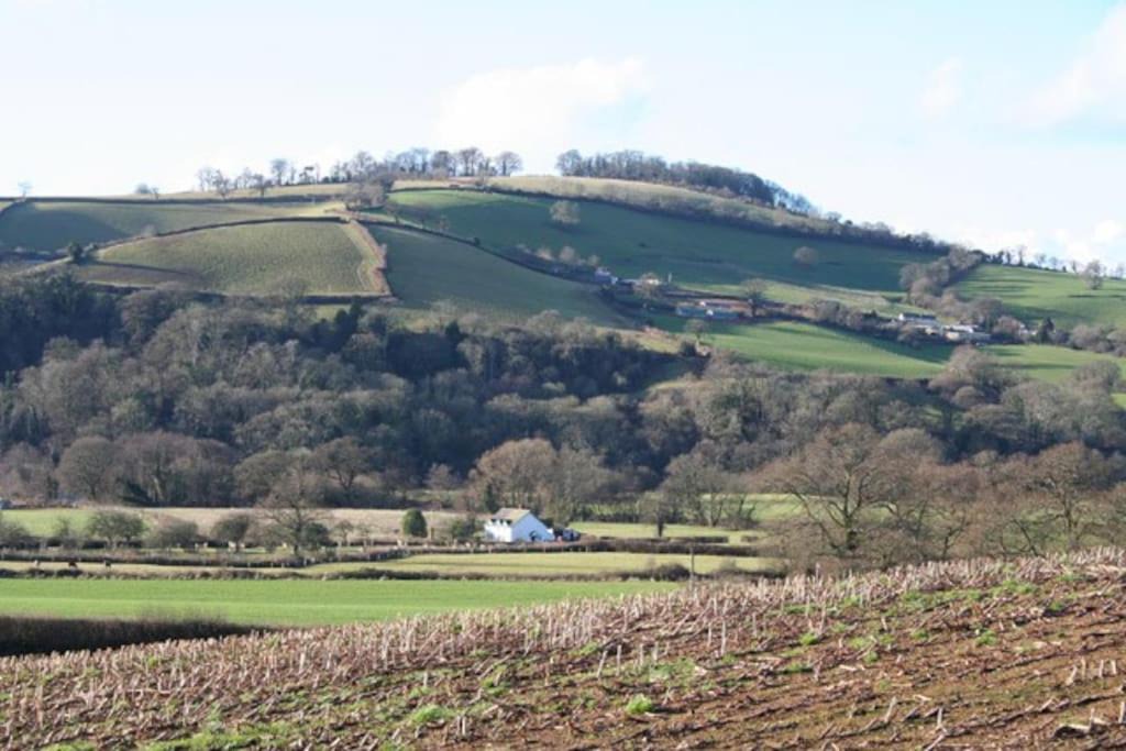 Photo of Others in Bradninch