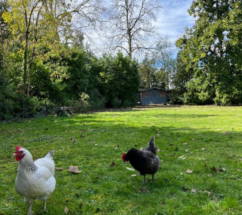 Photo of Others in Blanquefort