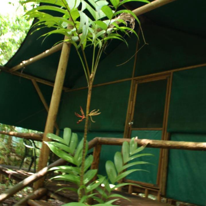 Photo of Others in Cow Bay